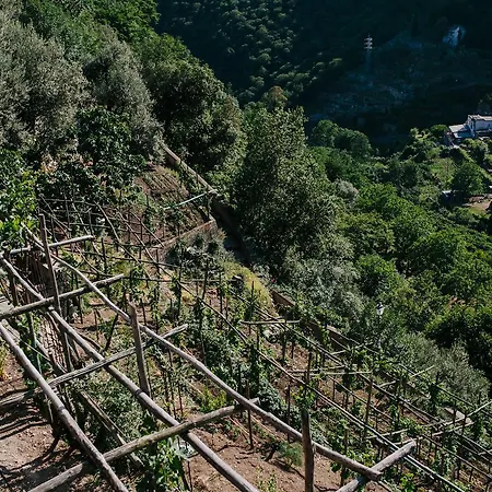 Bed & Breakfast Rosa E Valentino 3*