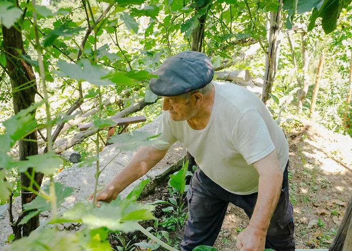 Bed and breakfast Rosa E Valentino 3*