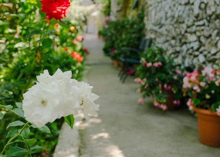 Rosa E Valentino Bed and breakfast