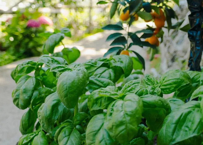 Rosa E Valentino Bed and breakfast 3*