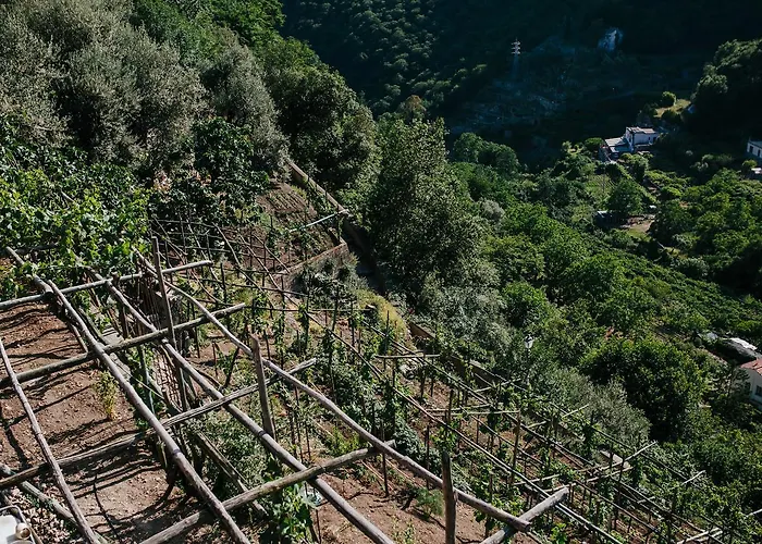 Bed and breakfast Rosa E Valentino 3*