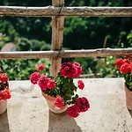 Rosa E Valentino 3* רבאלו