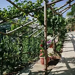 Rosa E Valentino 3* רבאלו