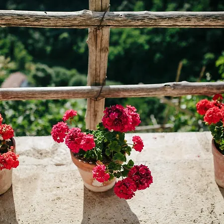 Rosa E Valentino * Ravello