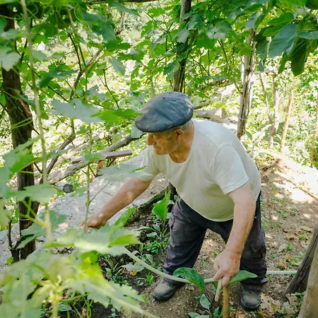 לינה וארוחת בוקר Rosa E Valentino 3*