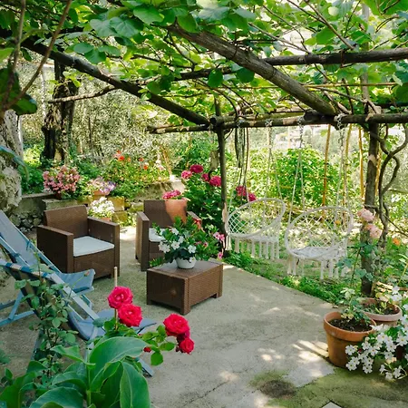 Rosa E Valentino לינה וארוחת בוקר רבאלו