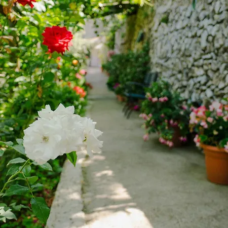 Rosa E Valentino לינה וארוחת בוקר
