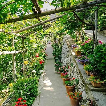 Rosa E Valentino Ravello
