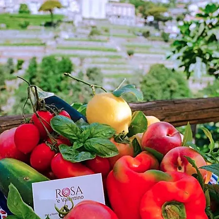 Rosa E Valentino Ravello