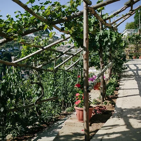 Rosa E Valentino 3* רבאלו